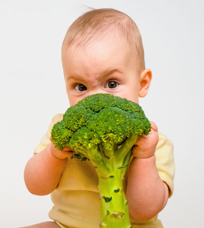 yemek_masasi_suclari_1