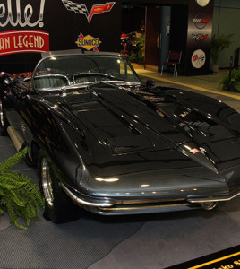 KopekbaligiSporOto_K2