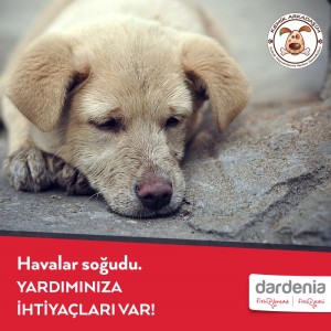 1450186796_Dardenia_Hayvan_Dostu