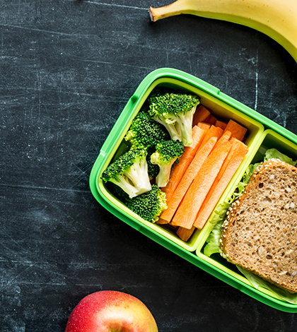 beslenme_cantasi (3)