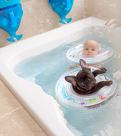 bebek_bulldog_ararkadasligi-(10)