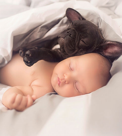 bebek_bulldog_ararkadasligi-(2)